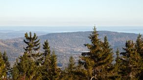 Utsikt fra Skibergfjellet.