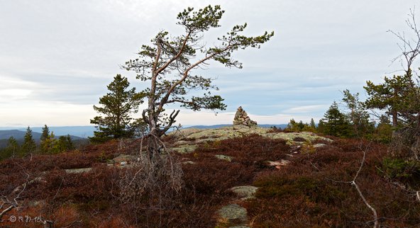 Vestfjellet, Hof, Vestfold